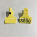 small Feedlot Tags for sheep